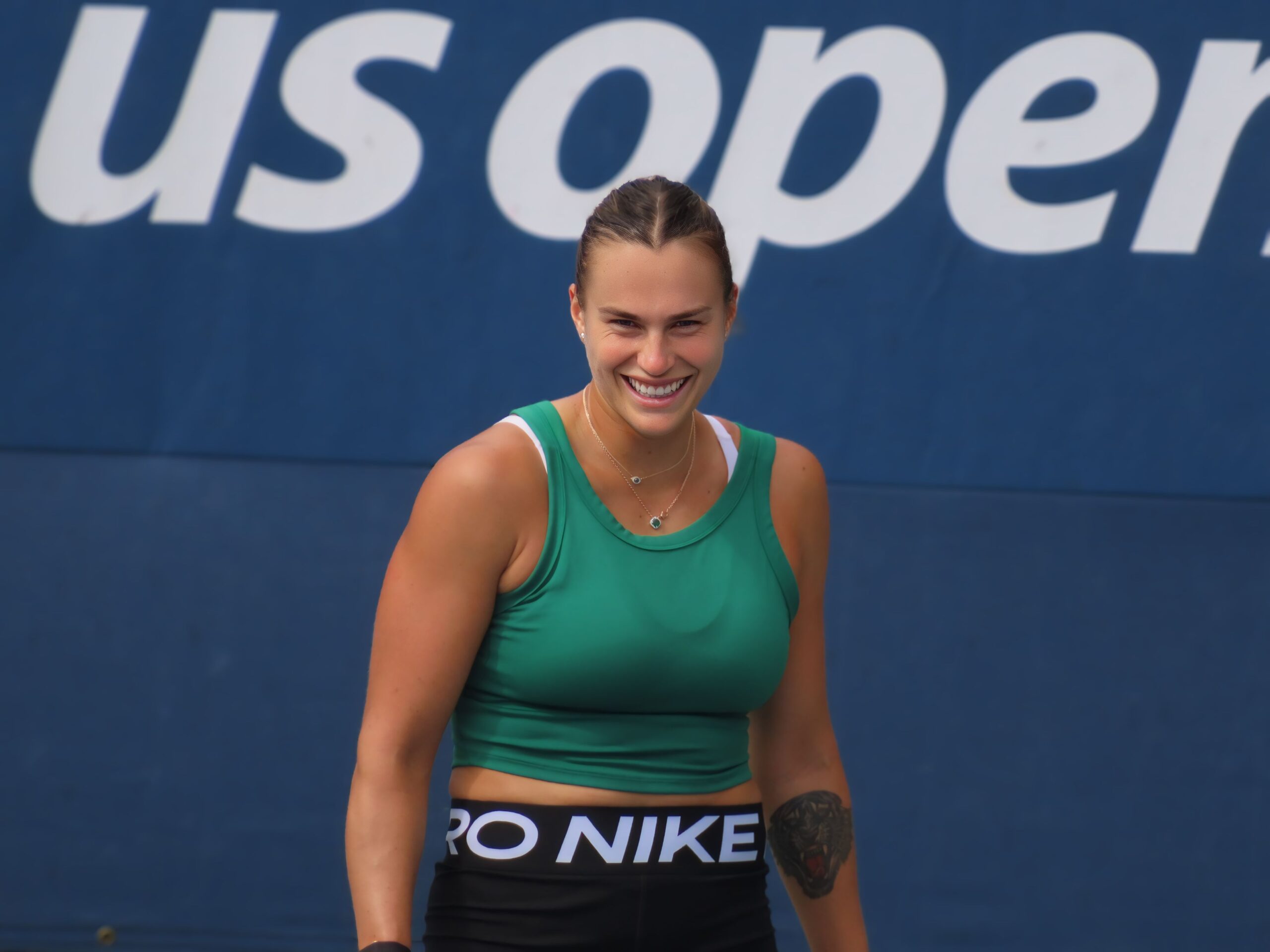 Ocoudis, CC0, via Wikimedia Commons