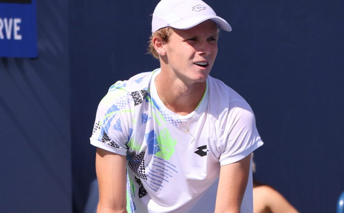 Hameltion, CC BY-SA 4.0 , via Wikimedia Commons