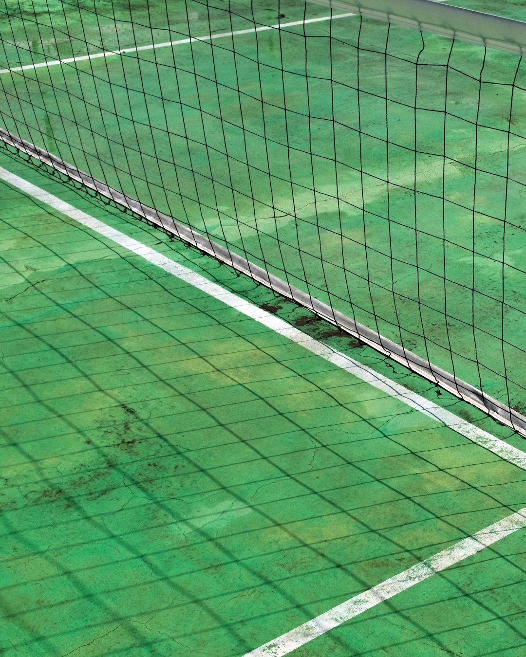 Zo verbeter je jouw volley: praktische tips voor elke clubspeler